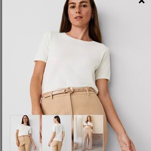 Ann Taylor Easy Sweater Tee in Winter White